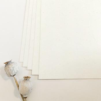 Cardstock "Recycling" - Bastelpapier 250g/m² DIN A4 in recycling bermgras